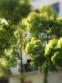 行至且慢
