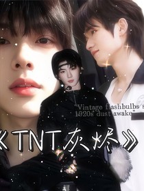 TNT灰燼
