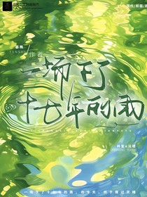 一场下了十七年的雨