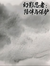 幻影忍者：陪伴與保護(hù)