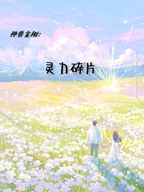 神獸金剛之靈力碎片