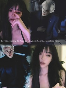 失控小狗