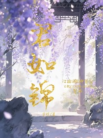 君如錦