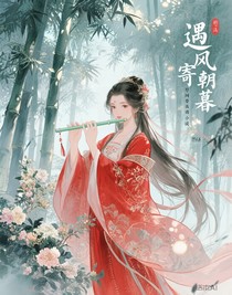 斗破：遇風(fēng)寄朝暮