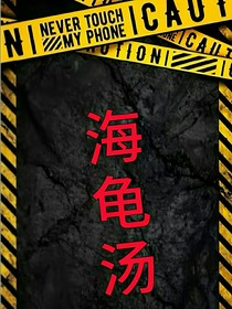 海龟汤1