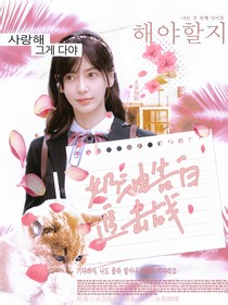 TNT戀綜：奶油告白追擊戰(zhàn)