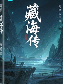 藏海傳后序