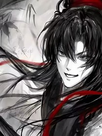 魔道同人文——忘羨