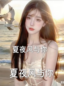 夏夜风与你