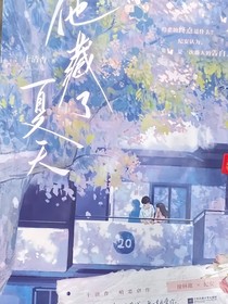 他藏了夏天
