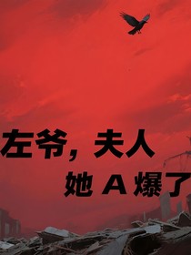 左爷，夫人她A爆了