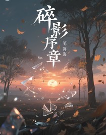 碎影序章