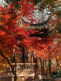 寒门吟