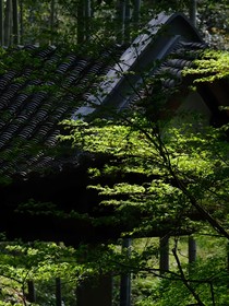 怪奇日记薄