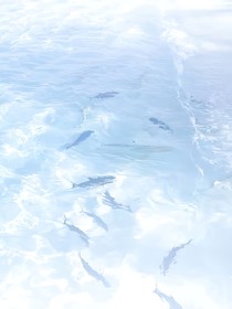 凹凸学院：当雪漫过左耳