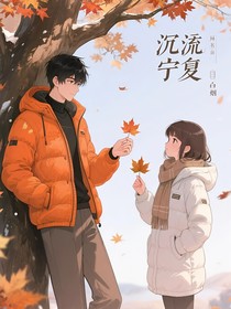 沉流寧夏
