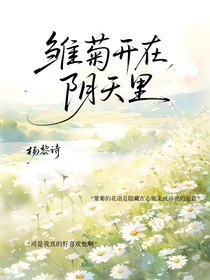 雏菊开在阴天里