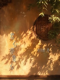 星漢燦爛：君心亦我心