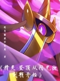 精灵：登顶从闪光独剑鞘开始！