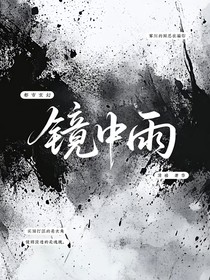 镜中雨