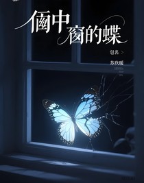 嵌于窗欞的蝶