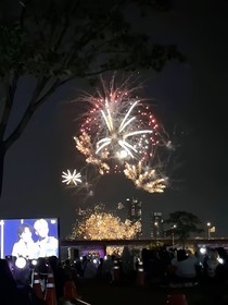 全明星：清冷帅哥勇闯韩娱