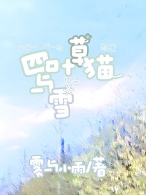 四叶草猫与雪