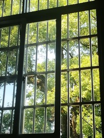 雨中溫度