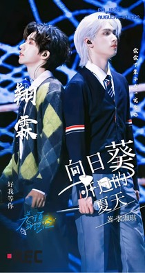 向日葵開過的夏天
