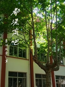 都淡忘吧