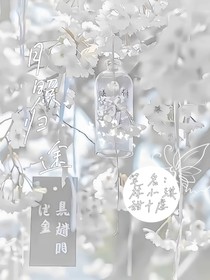 月照归途