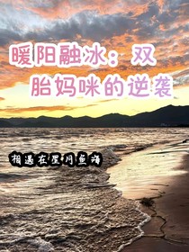 暖阳融冰：双胎妈咪的逆袭