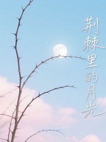 荆棘里的月光