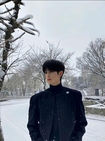 綜影：沉淪