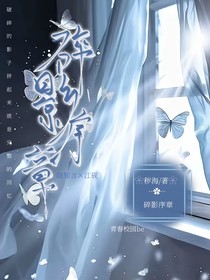 碎影序章