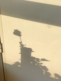 向晦而明