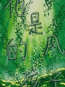 他是风的孩子