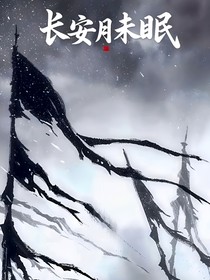 长安月未眠
