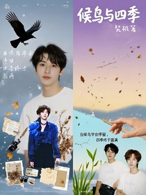 翔霖：候鸟与四季