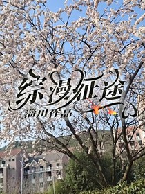 綜漫征途