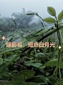 综影视：短命白月光
