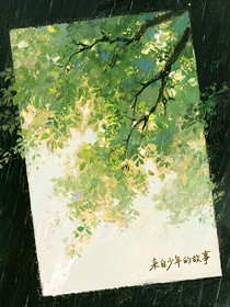 来自少年的故事