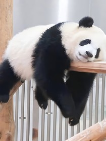 超學(xué)先鋒之病嬌甜甜