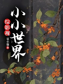 综影视：小小世界