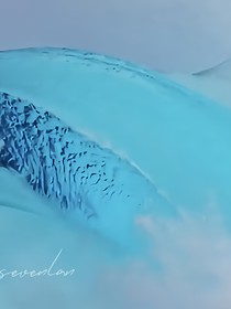 向陽而生（露中）