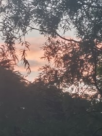 青云宗紀(jì)事