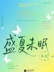 斗龙盛夏未眠