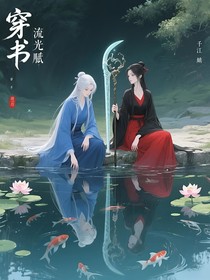 穿书：流光赋