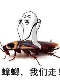 斗陆：消灭蟑螂进行时