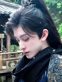 朝雪录：想